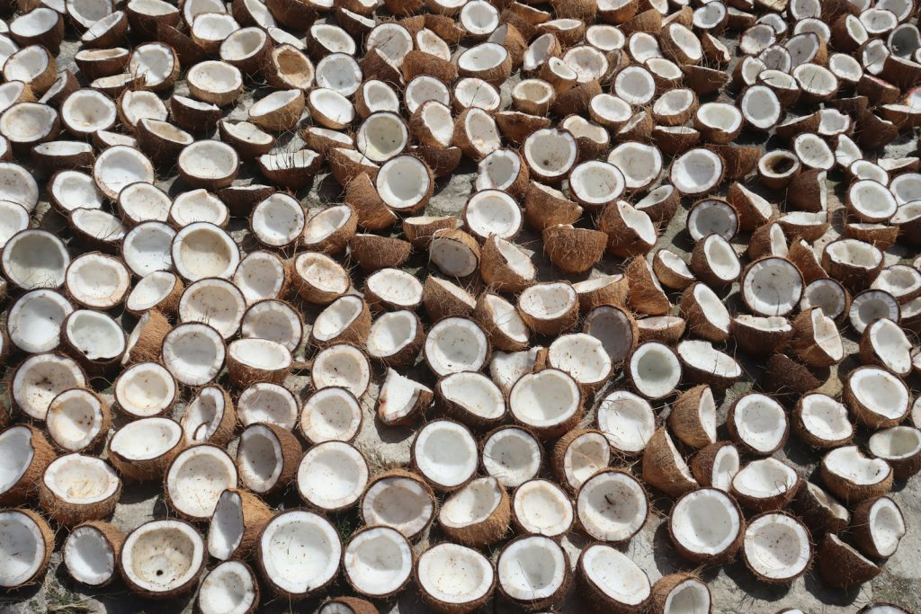 a pile of cut up coconuts sitting on top of a cement ground