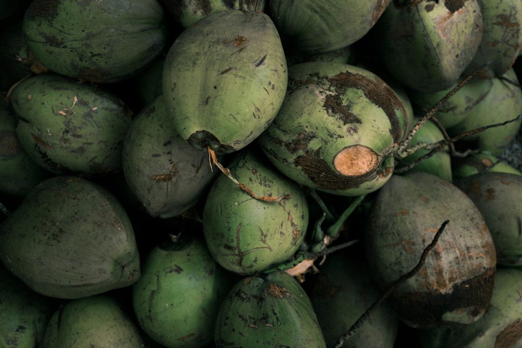 Calorific Value of Coconut Shisha Charcoal: kcal/kg and What It Means for Sessions