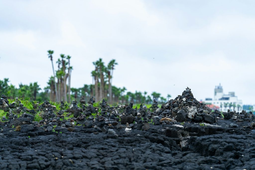 a large pile of black lava with palm trees in the background