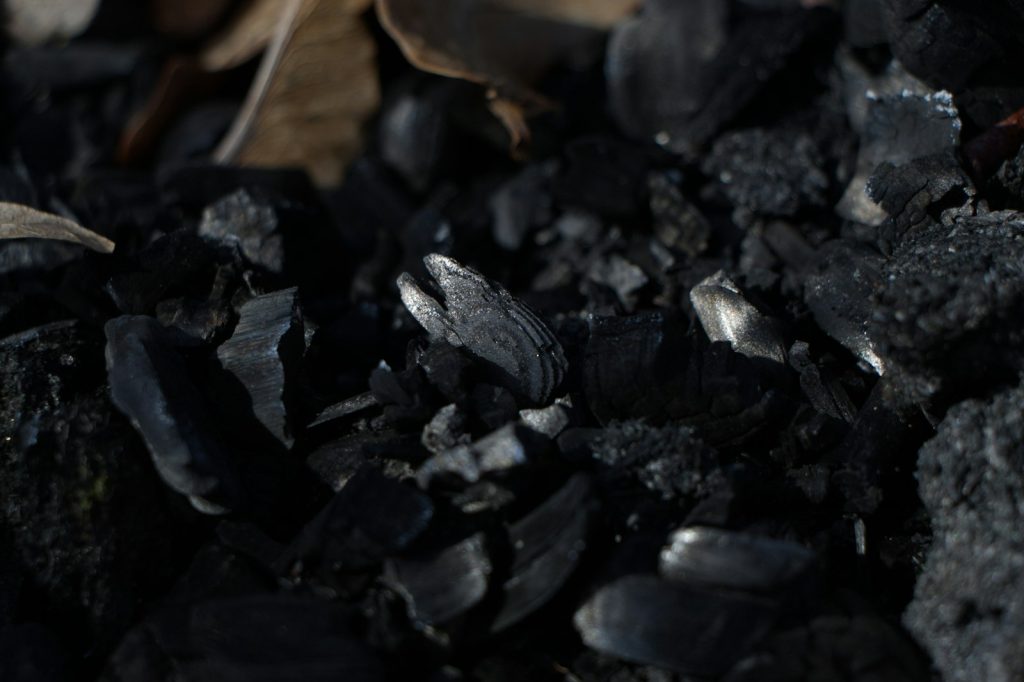 Close-up of dark charcoal pieces with some leaves.
